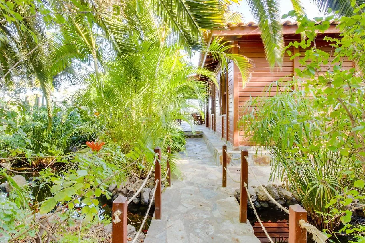 Villa Mimosa Arafo 0*,  Spain